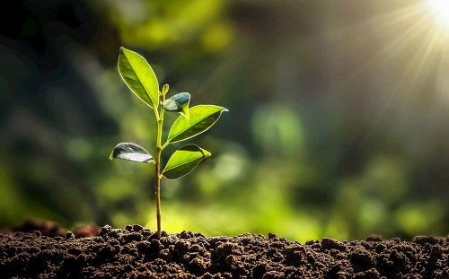 1653880647206297.png image.png