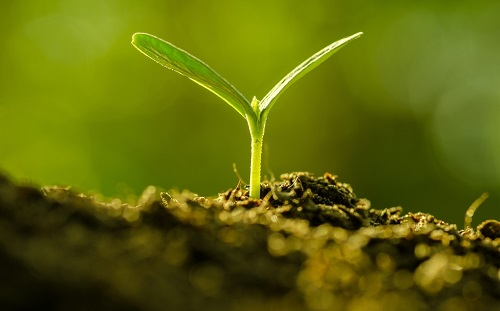 1657163043139184.png image.png