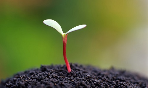 1658208628221883.png image.png