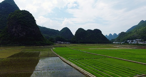 1663305090176984.png image.png