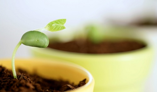 1663913826131393.png image.png