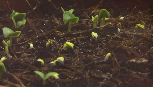 1668579212150044.png image.png