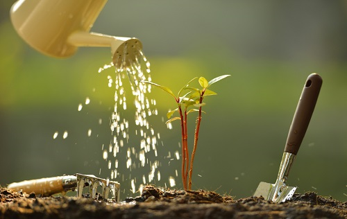 1669174699178001.png image.png