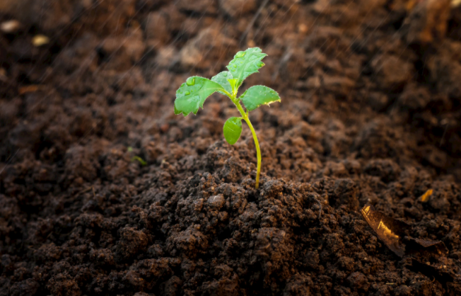 1681194648323083.png 1681194648323083.png